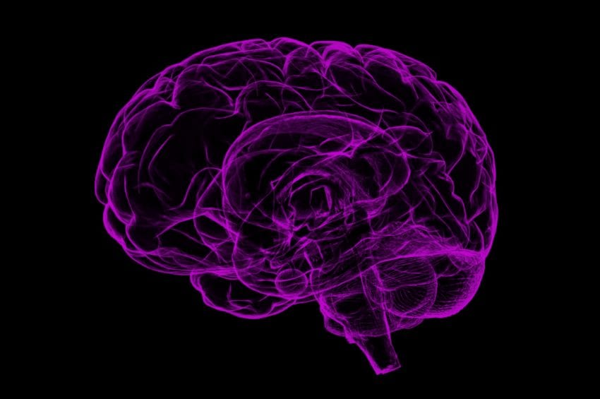 Brain on Ketones