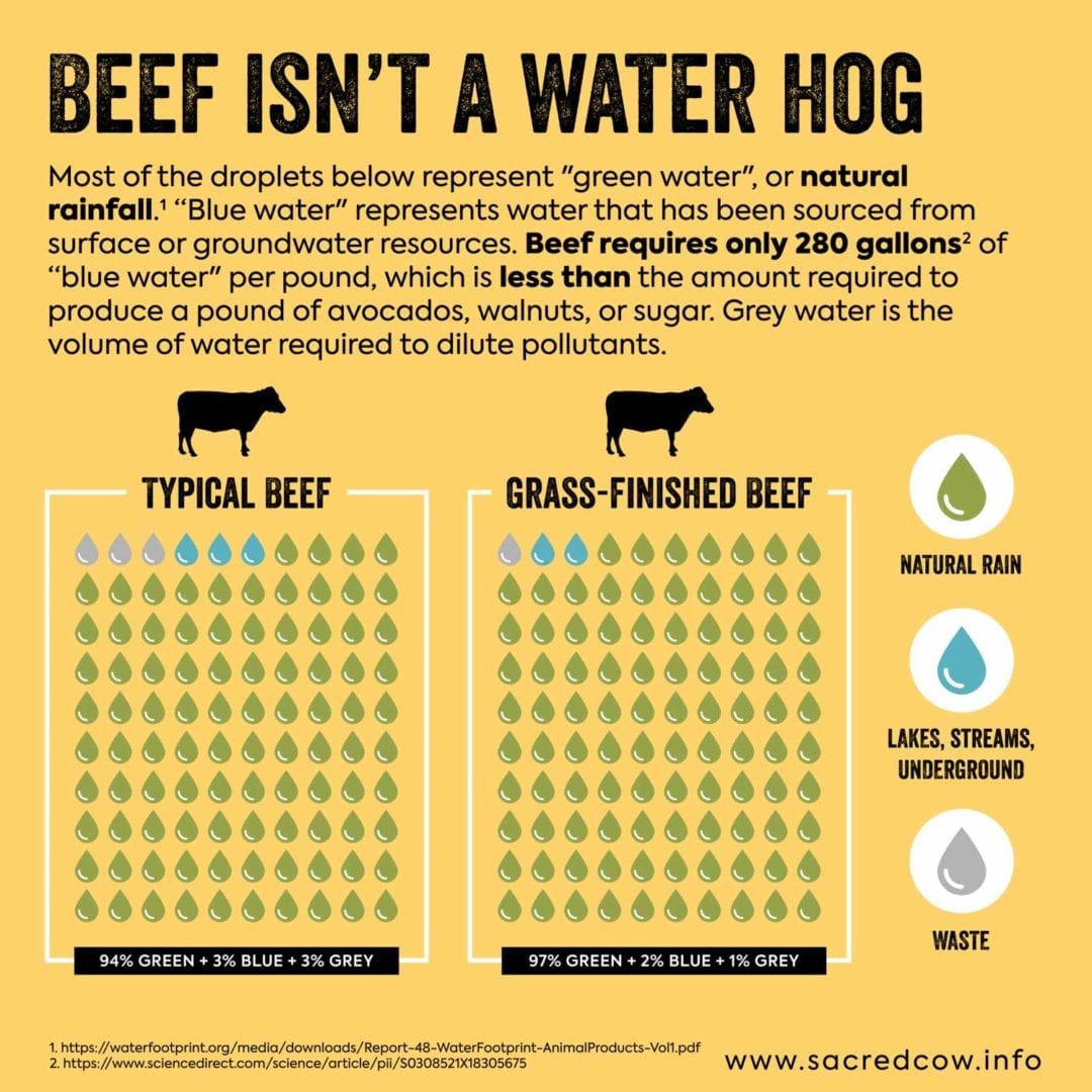 the game changers beef water requirements