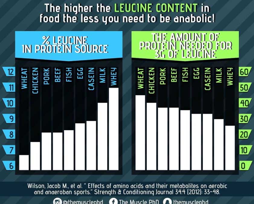 Fact Or Fiction Debunking The Game Changers Movie Ketogenic Com