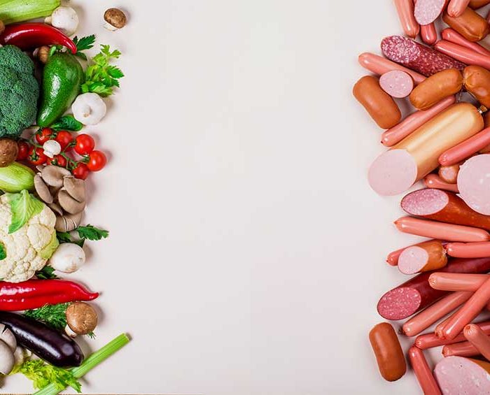 plant protein vs animal protein