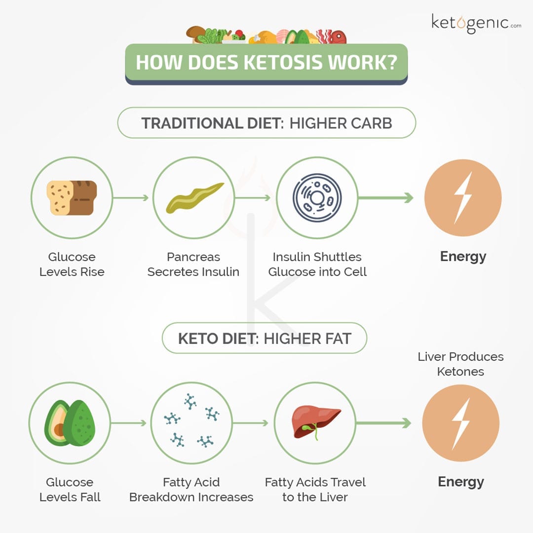New Research The Link Between The Ketogenic Diet And Ketoacidosis 