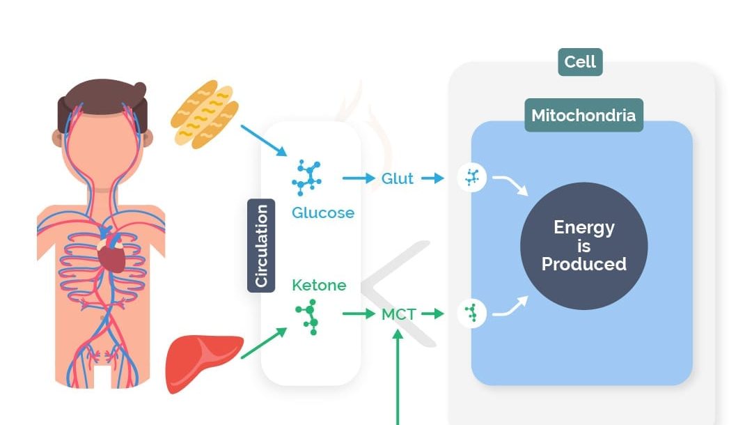 How is Energy Produced?