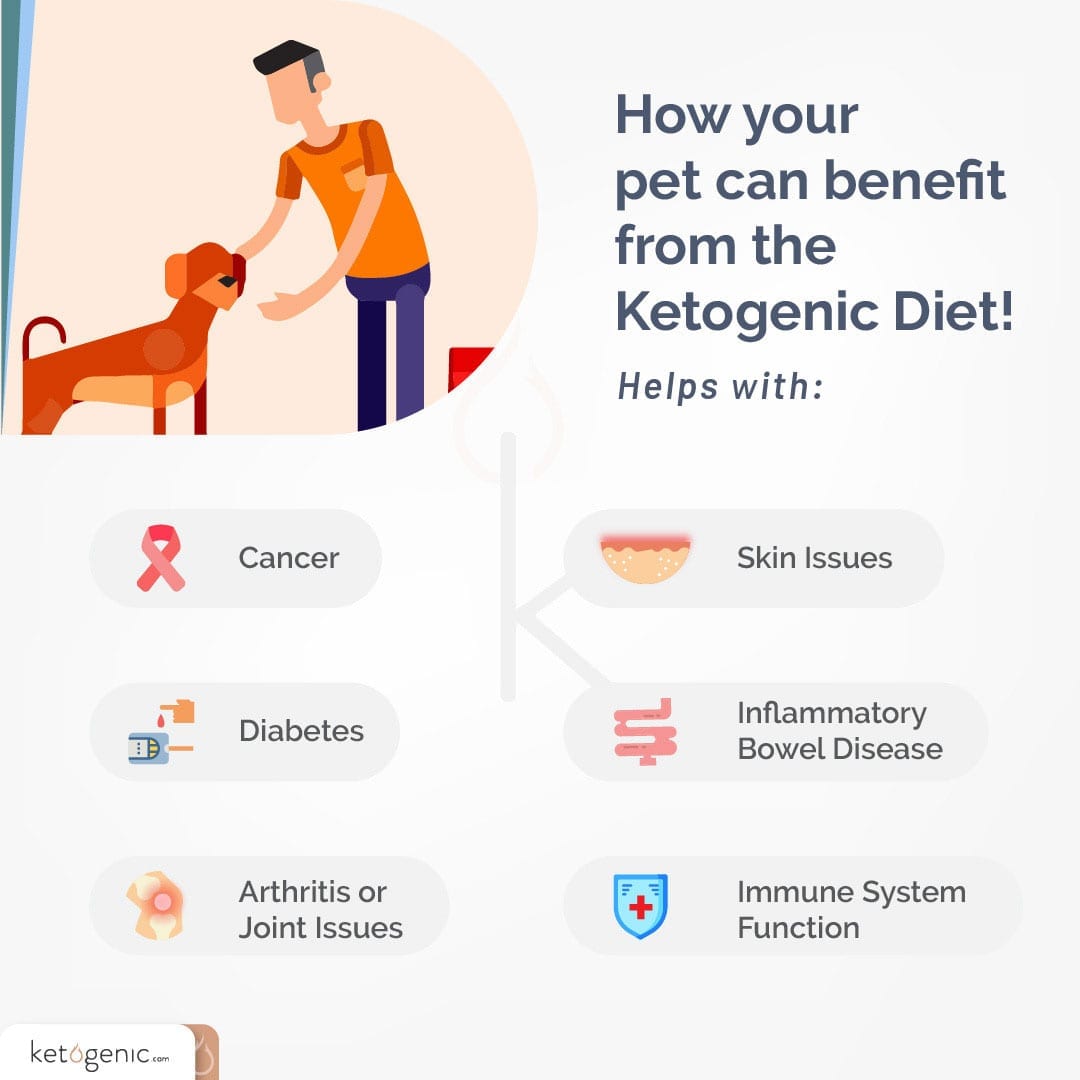 what is a ketogenic diet for dogs