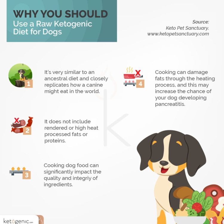 Benefits of a Ketogenic Diet for Dogs Keto Lifestyle