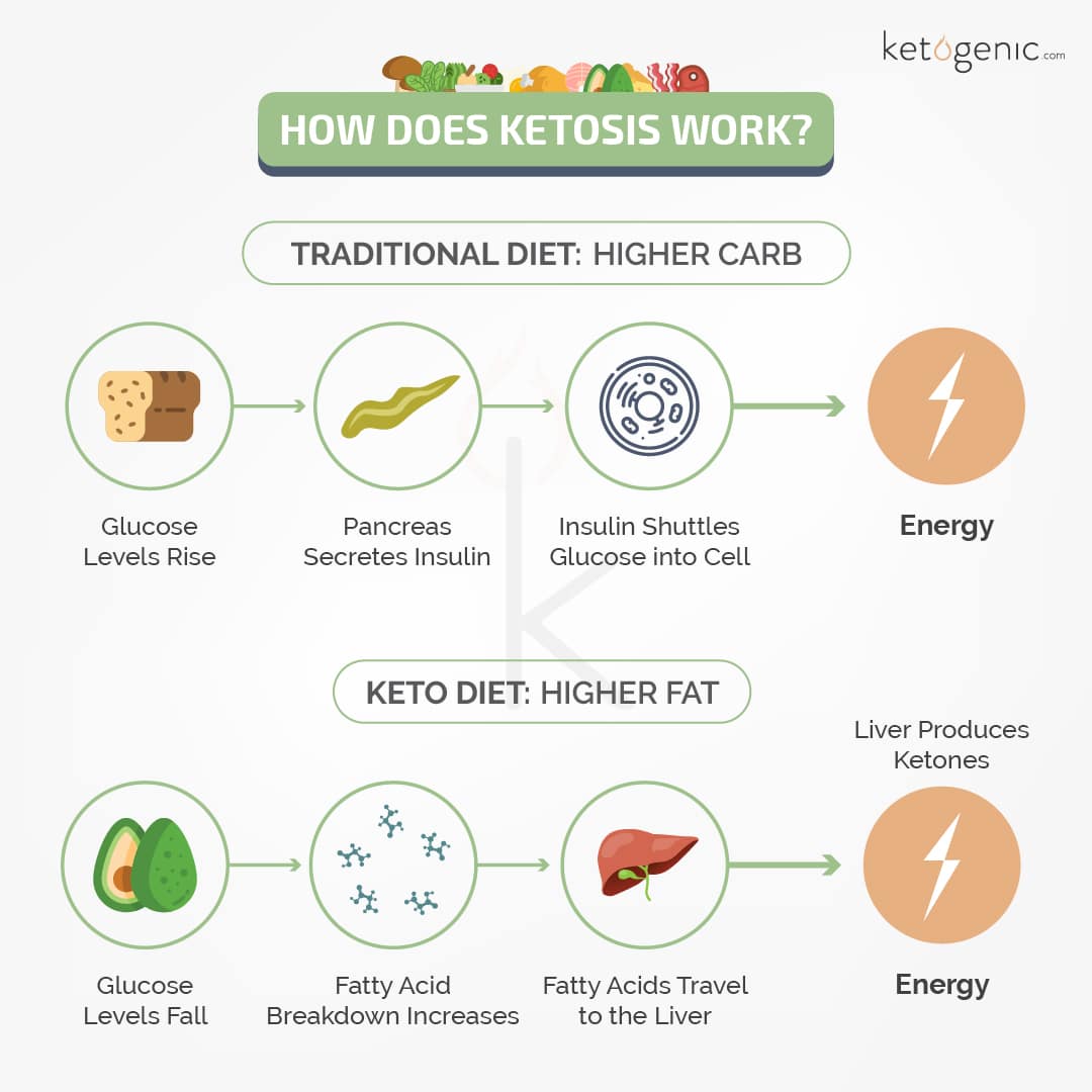 how does the ketogenic diet work