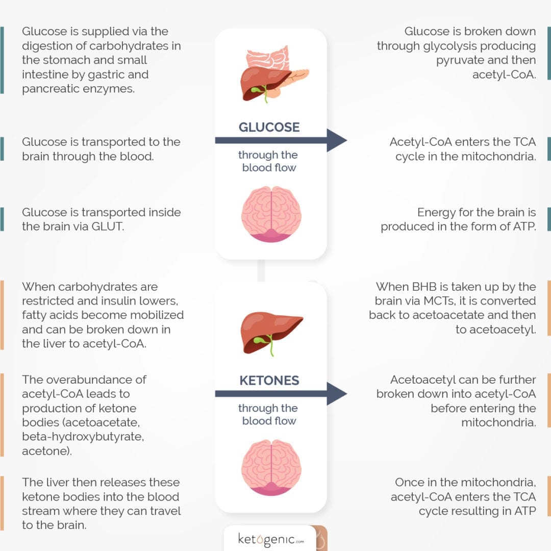 ketogenic diet and glycolysis