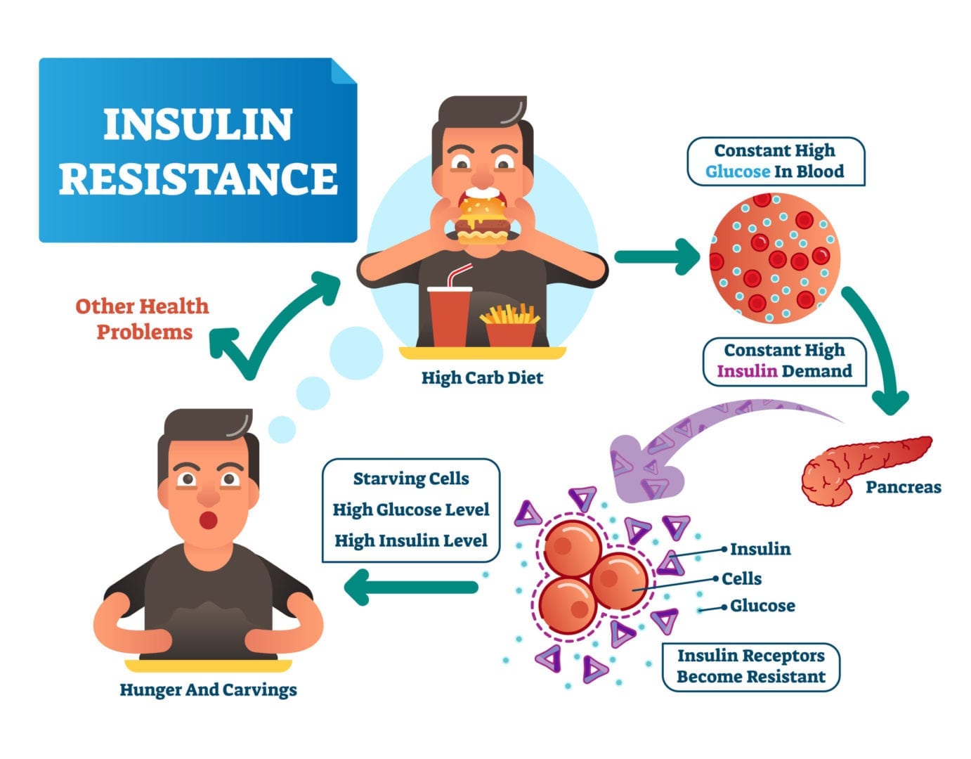 Insulin Resistance And The Ketogenic Diet Ketogenic Com