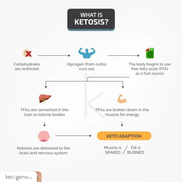 Ketosis What Is It And How Do You Achieve It? Keto