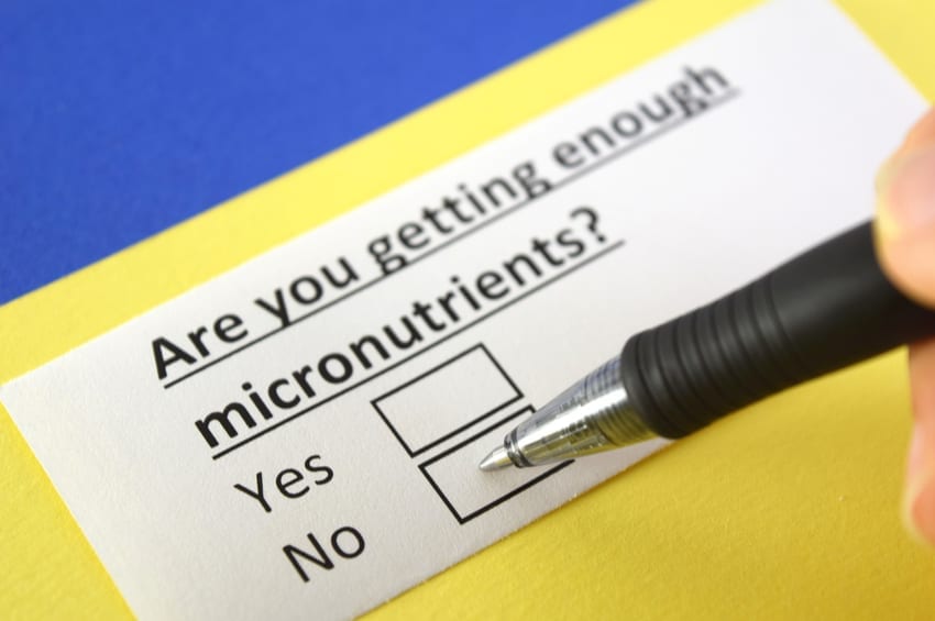 what are micronutrients