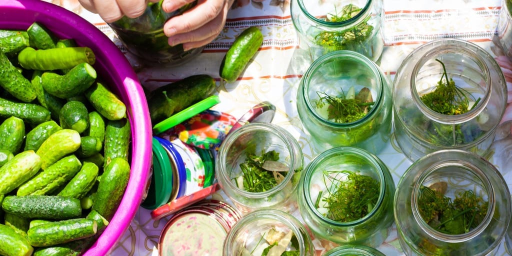 homemade keto pickles