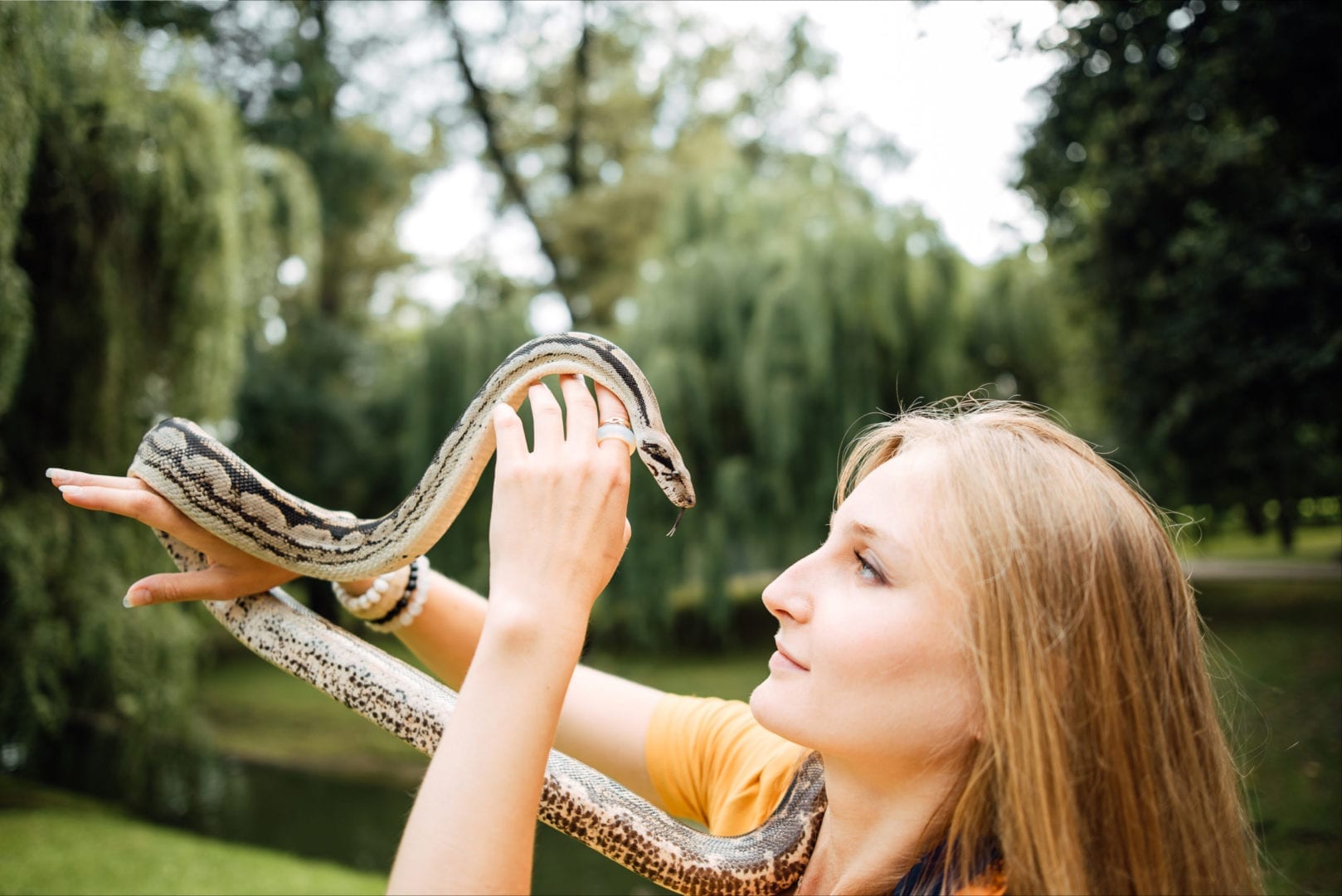 Photo inspiration: Snake Diet Fat Loss Reference: What Is The Snake Diet And Will It Help With
