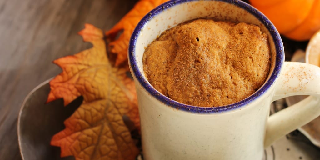 cinnamon keto mug cake