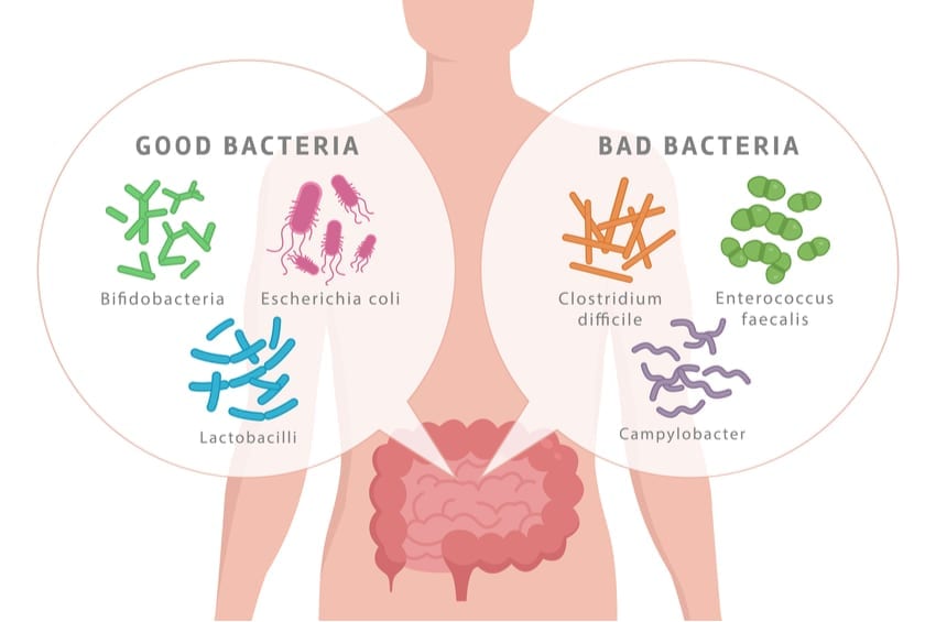 dysbiosis keto