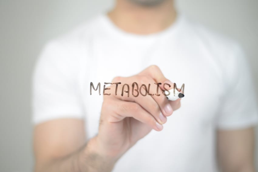 The metabolism and metabolic disease