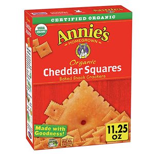 Organic Cheddar Squares Snack Crackers