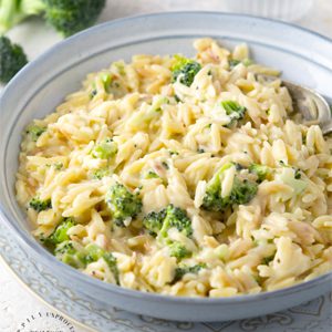 Chicken, Broccoli & Cheddar Cheese With Orzo Pasta