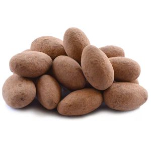 Cocoa Dusted Almonds