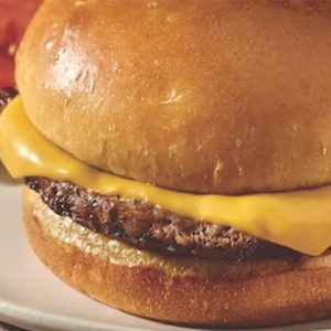 Kids Mighty Cheeseburger with Cheddar Cheese