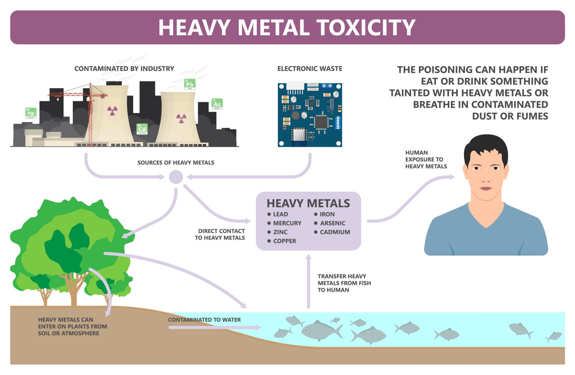 Should You Be Concerned About Mercury in Fish